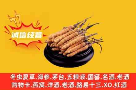 成都市青羊回收冬虫夏草